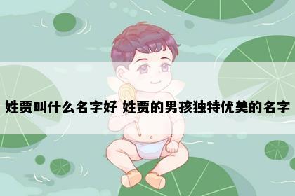姓贾叫什么名字好 姓贾的男孩独特优美的名字