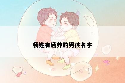 杨姓有涵养的男孩名字