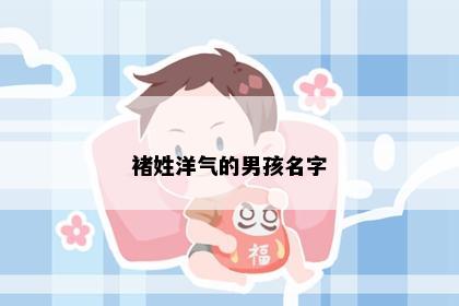 褚姓洋气的男孩名字