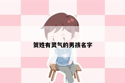 贺姓有灵气的男孩名字