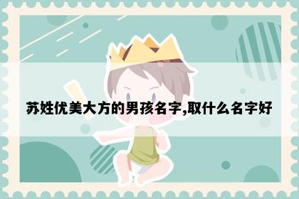 苏姓优美大方的男孩名字,取什么名字好
