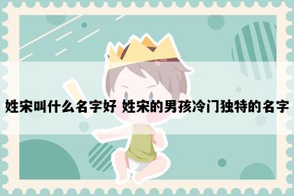 姓宋叫什么名字好 姓宋的男孩冷门独特的名字