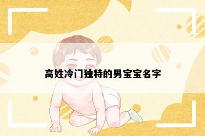 高姓冷门独特的男宝宝名字