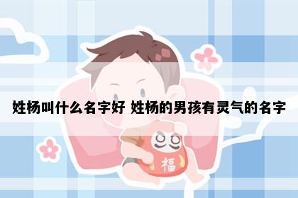 姓杨叫什么名字好 姓杨的男孩有灵气的名字