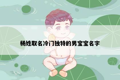 杨姓取名冷门独特的男宝宝名字