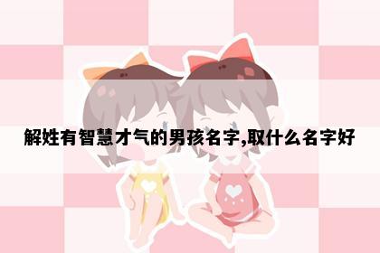 解姓有智慧才气的男孩名字,取什么名字好
