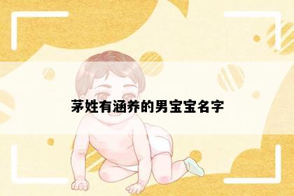 茅姓有涵养的男宝宝名字