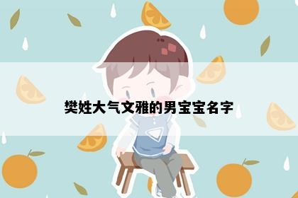 樊姓大气文雅的男宝宝名字