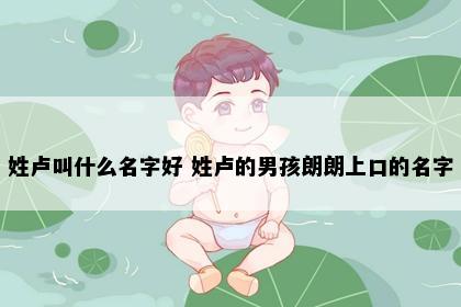 姓卢叫什么名字好 姓卢的男孩朗朗上口的名字