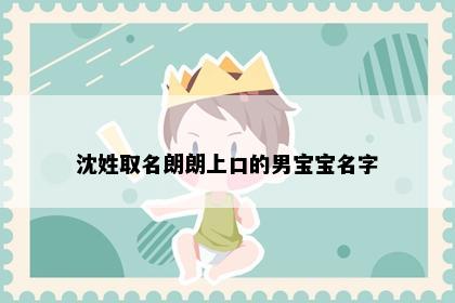 沈姓取名朗朗上口的男宝宝名字