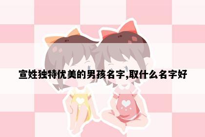 宣姓独特优美的男孩名字,取什么名字好
