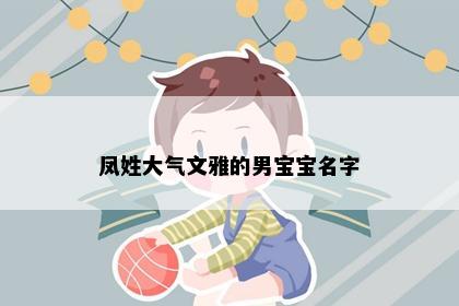 凤姓大气文雅的男宝宝名字