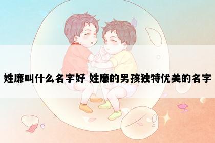 姓廉叫什么名字好 姓廉的男孩独特优美的名字