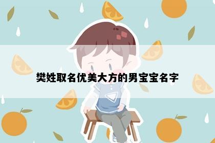 樊姓取名优美大方的男宝宝名字