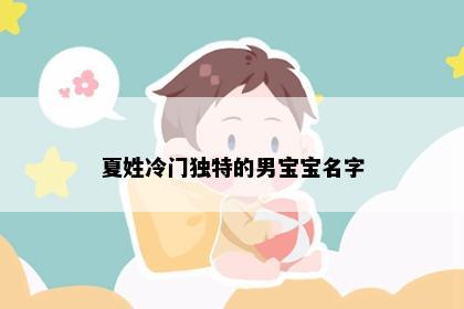 夏姓冷门独特的男宝宝名字