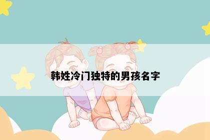 韩姓冷门独特的男孩名字