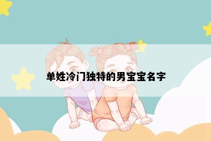 单姓冷门独特的男宝宝名字