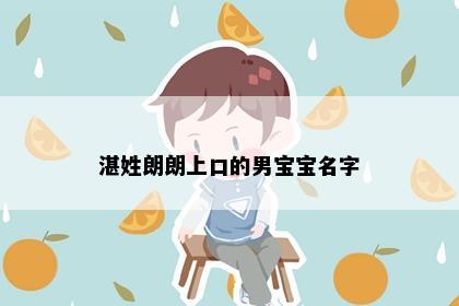 湛姓朗朗上口的男宝宝名字