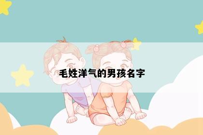 毛姓洋气的男孩名字