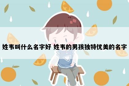 姓韦叫什么名字好 姓韦的男孩独特优美的名字