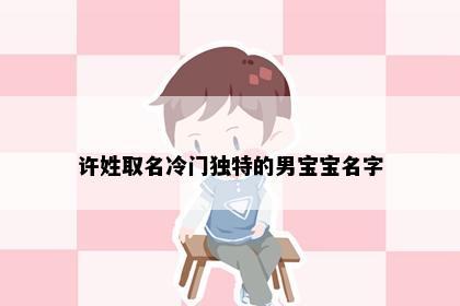 许姓取名冷门独特的男宝宝名字