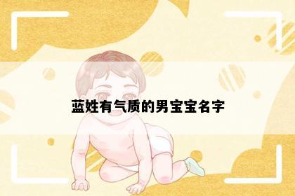 蓝姓有气质的男宝宝名字