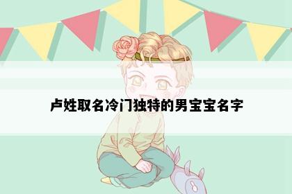 卢姓取名冷门独特的男宝宝名字