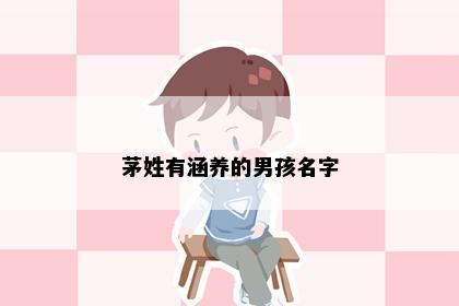 茅姓有涵养的男孩名字