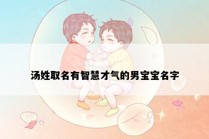 汤姓取名有智慧才气的男宝宝名字