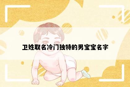 卫姓取名冷门独特的男宝宝名字
