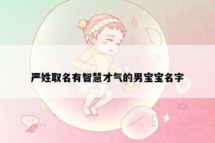 严姓取名有智慧才气的男宝宝名字