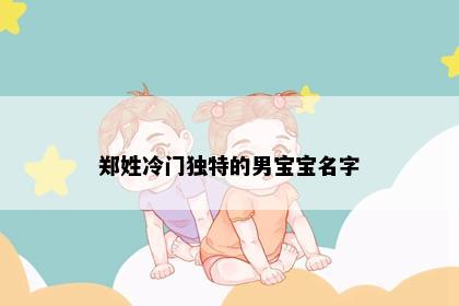 郑姓冷门独特的男宝宝名字