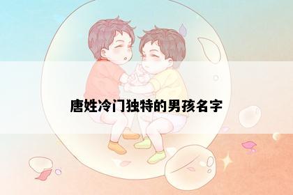 唐姓冷门独特的男孩名字