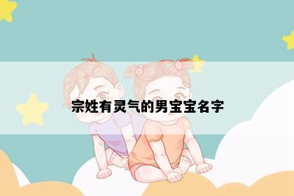 宗姓有灵气的男宝宝名字