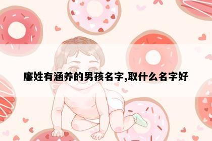 廉姓有涵养的男孩名字,取什么名字好
