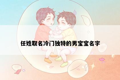 任姓取名冷门独特的男宝宝名字
