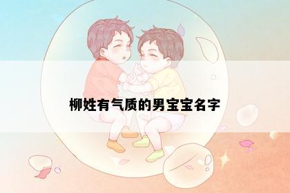 柳姓有气质的男宝宝名字