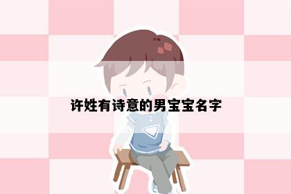 许姓有诗意的男宝宝名字