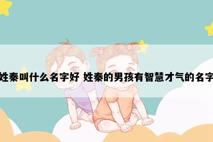 姓秦叫什么名字好 姓秦的男孩有智慧才气的名字