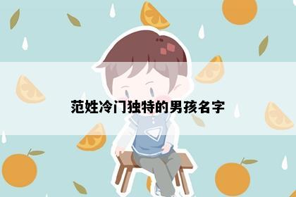范姓冷门独特的男孩名字