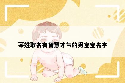 茅姓取名有智慧才气的男宝宝名字