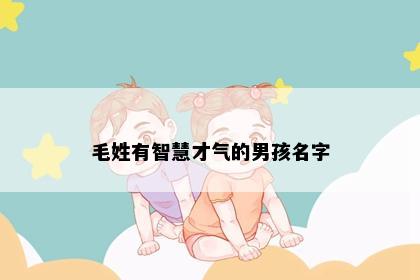 毛姓有智慧才气的男孩名字