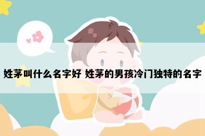 姓茅叫什么名字好 姓茅的男孩冷门独特的名字