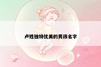 卢姓独特优美的男孩名字