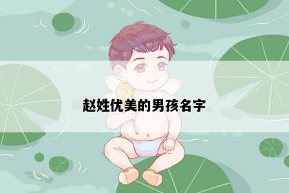 赵姓优美的男孩名字