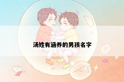 汤姓有涵养的男孩名字