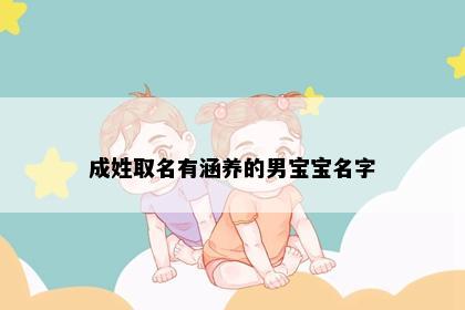 成姓取名有涵养的男宝宝名字
