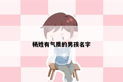 杨姓有气质的男孩名字