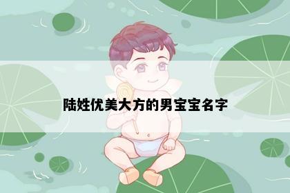 陆姓优美大方的男宝宝名字
