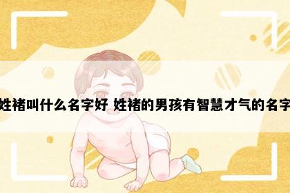 姓褚叫什么名字好 姓褚的男孩有智慧才气的名字